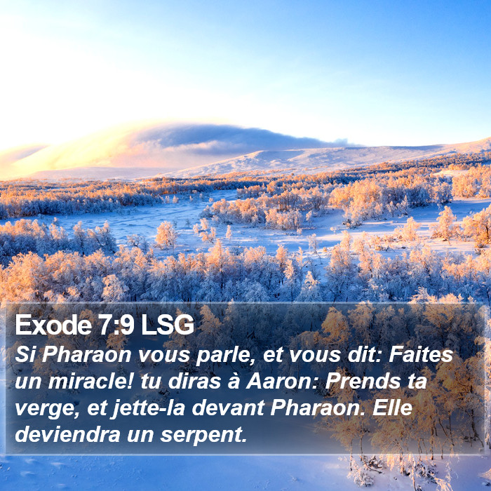 Exode 7:9 LSG Bible Study
