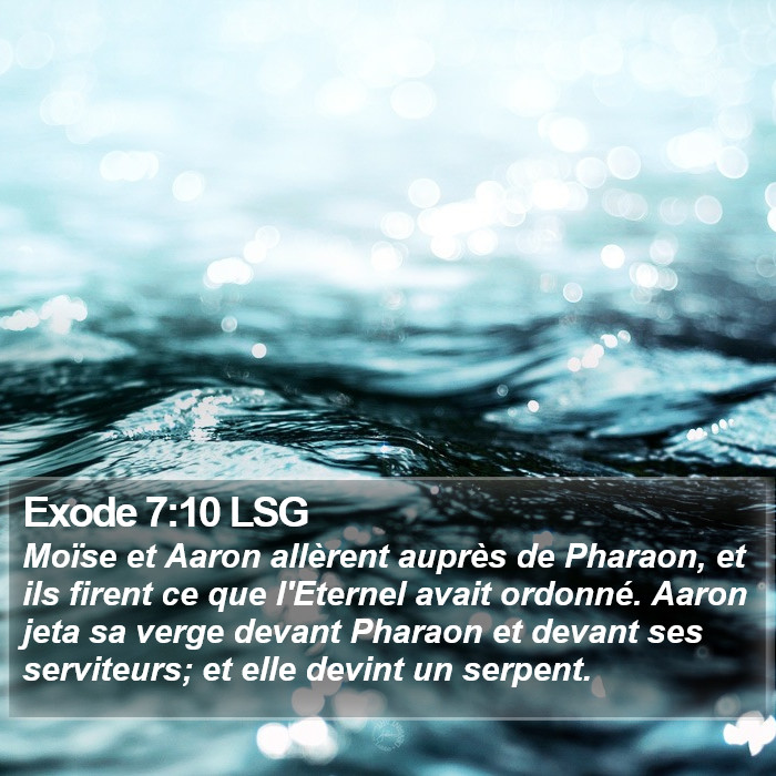 Exode 7:10 LSG Bible Study