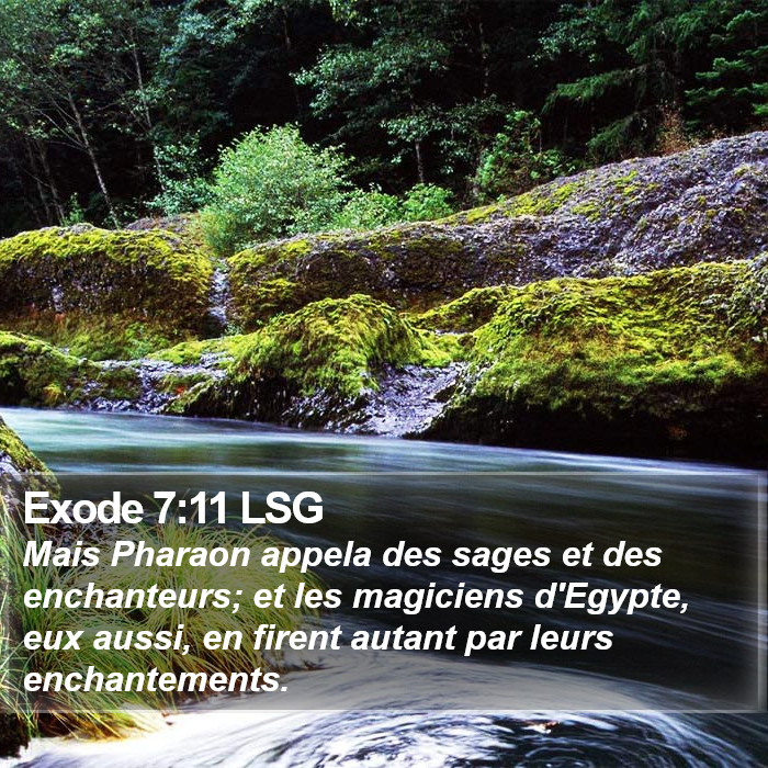 Exode 7:11 LSG Bible Study