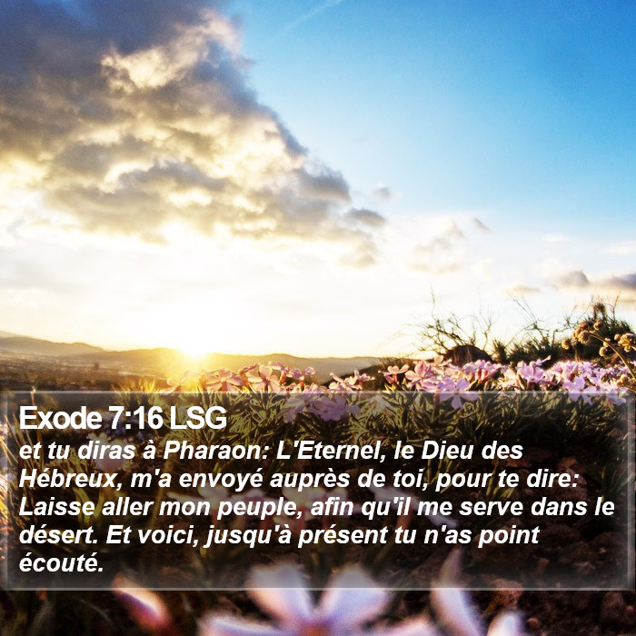 Exode 7:16 LSG Bible Study