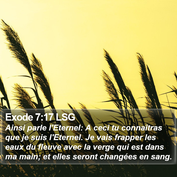 Exode 7:17 LSG Bible Study