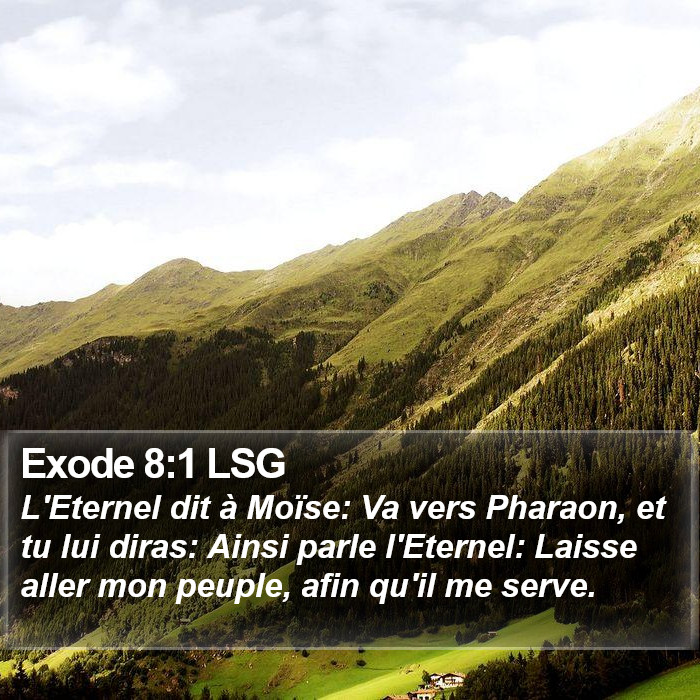 Exode 8:1 LSG Bible Study