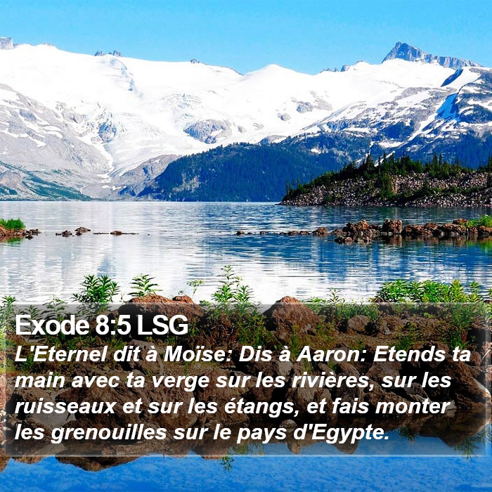 Exode 8:5 LSG Bible Study