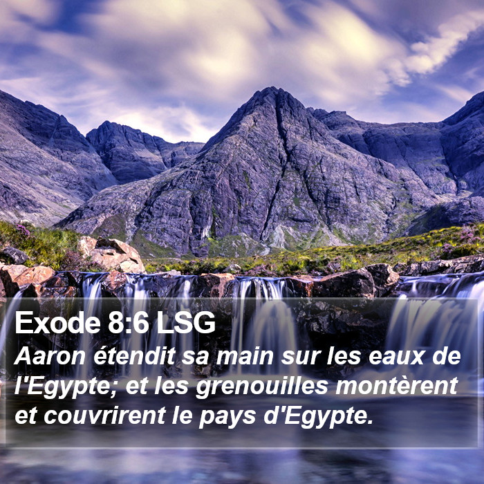 Exode 8:6 LSG Bible Study