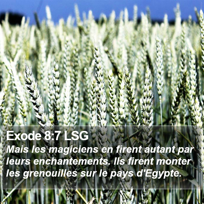 Exode 8:7 LSG Bible Study