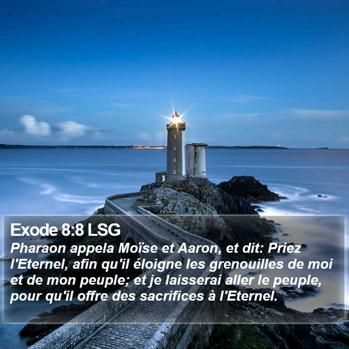 Exode 8:8 LSG Bible Study