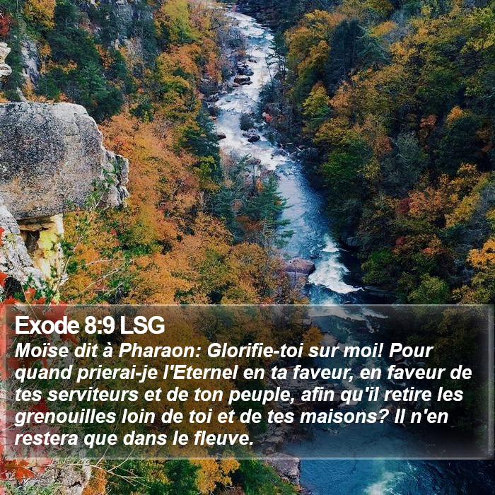 Exode 8:9 LSG Bible Study