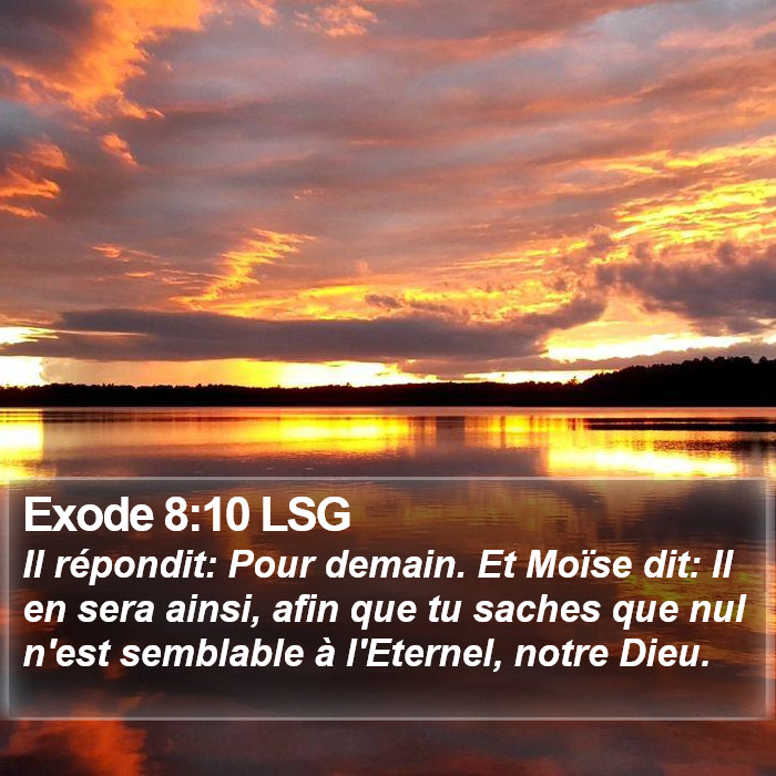 Exode 8:10 LSG Bible Study
