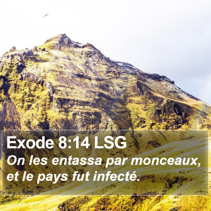 Exode 8:14 LSG Bible Study