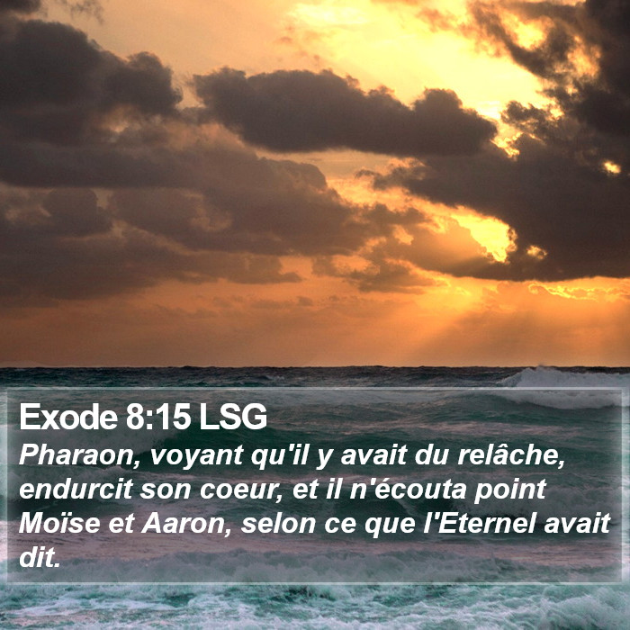 Exode 8:15 LSG Bible Study