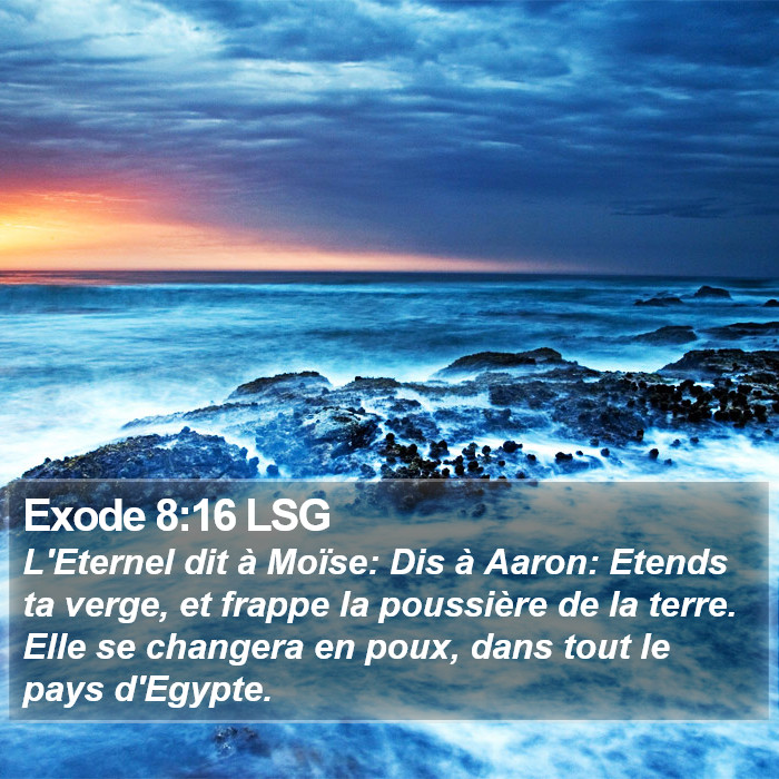 Exode 8:16 LSG Bible Study