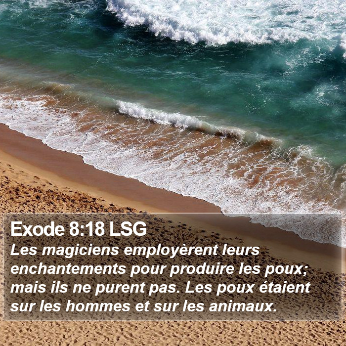 Exode 8:18 LSG Bible Study