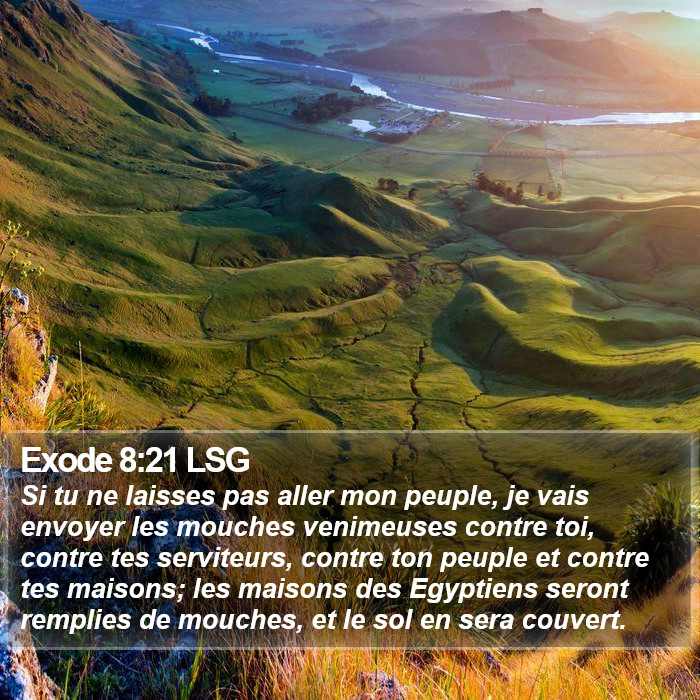 Exode 8:21 LSG Bible Study