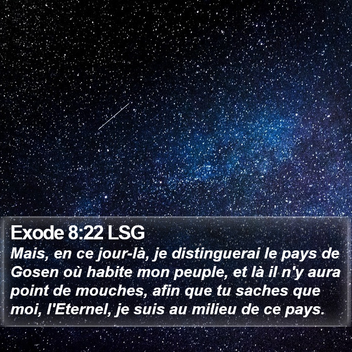 Exode 8:22 LSG Bible Study