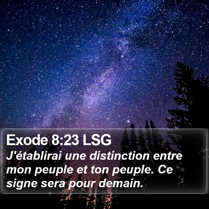 Exode 8:23 LSG Bible Study