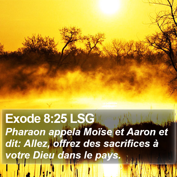 Exode 8:25 LSG Bible Study