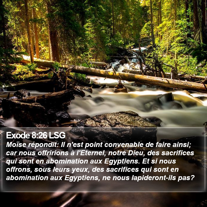 Exode 8:26 LSG Bible Study