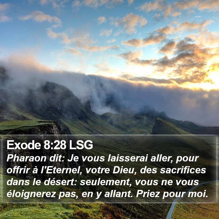 Exode 8:28 LSG Bible Study