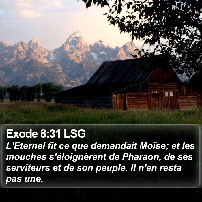 Exode 8:31 LSG Bible Study