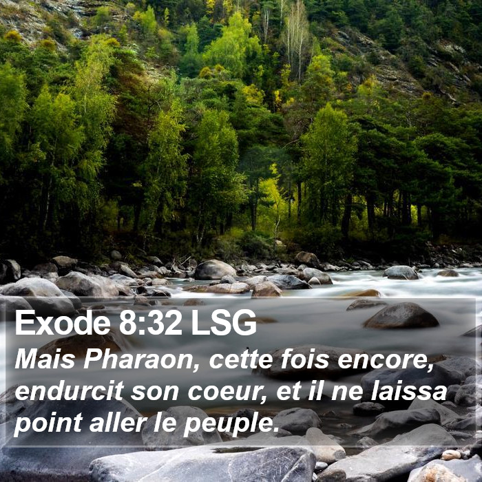 Exode 8:32 LSG Bible Study