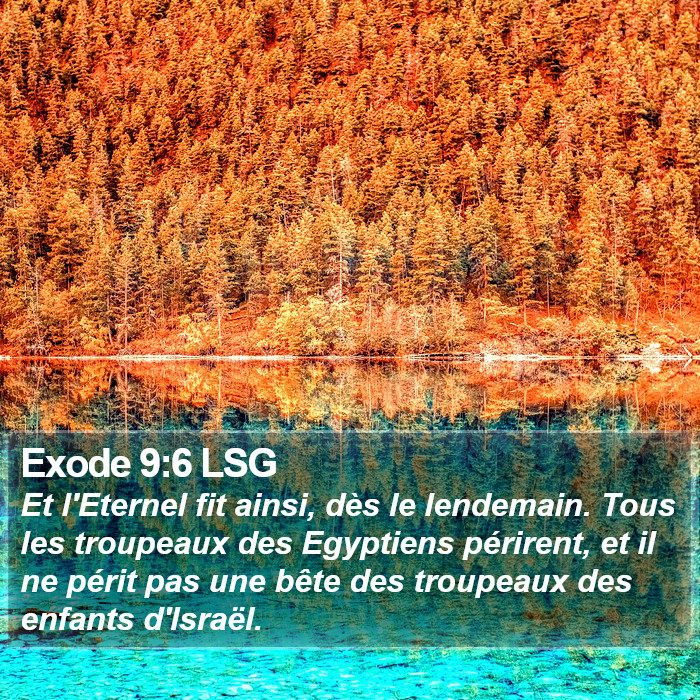 Exode 9:6 LSG Bible Study