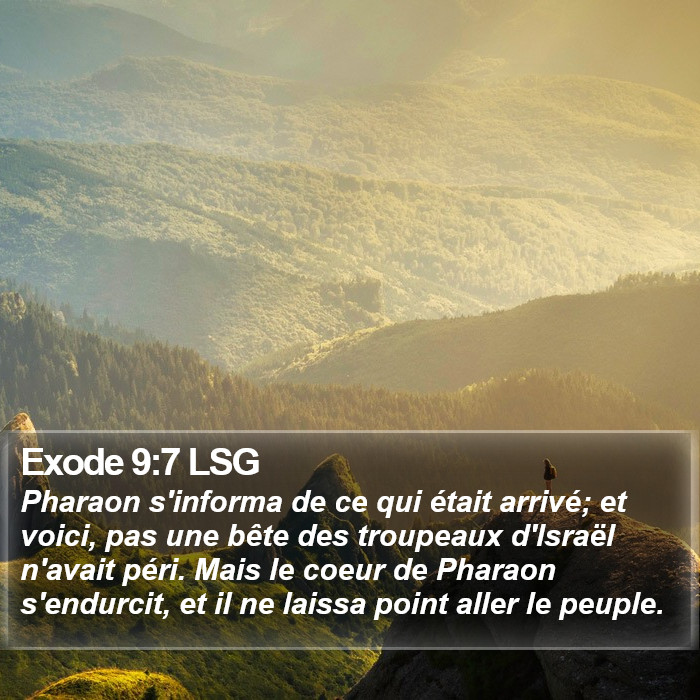 Exode 9:7 LSG Bible Study