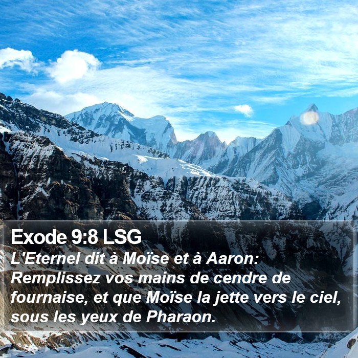 Exode 9:8 LSG Bible Study