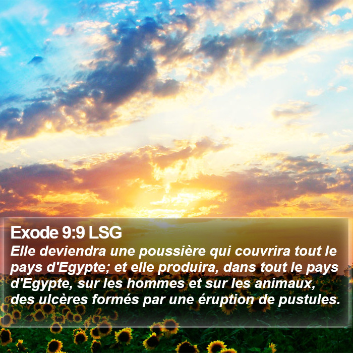 Exode 9:9 LSG Bible Study