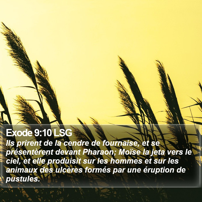 Exode 9:10 LSG Bible Study