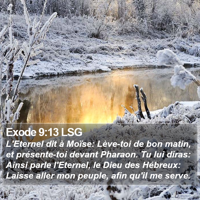 Exode 9:13 LSG Bible Study