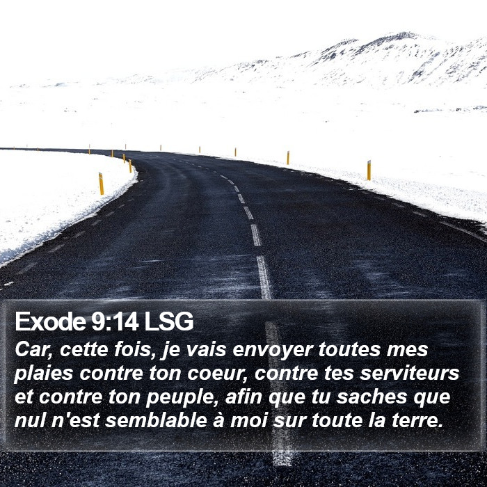 Exode 9:14 LSG Bible Study