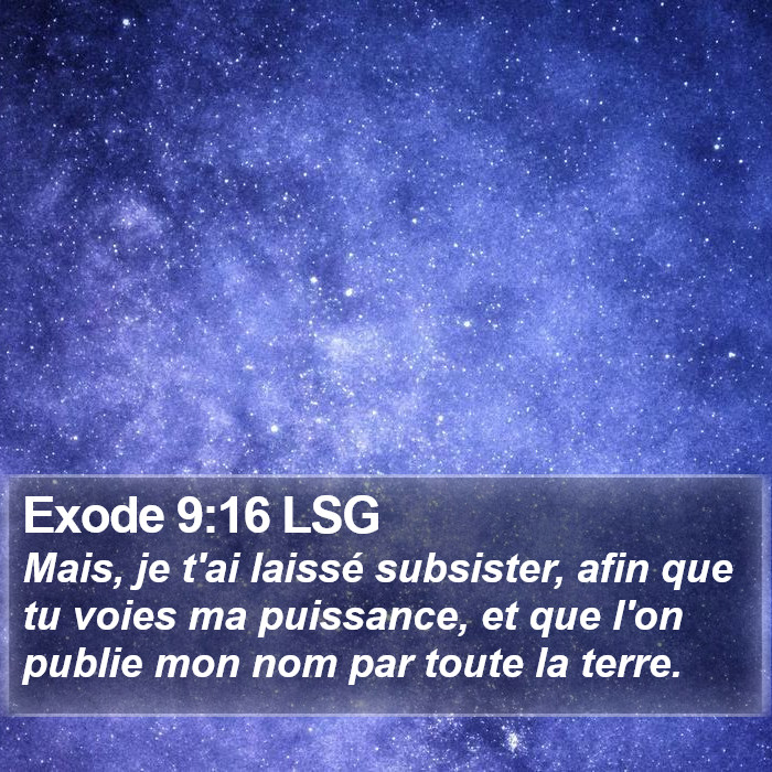 Exode 9:16 LSG Bible Study