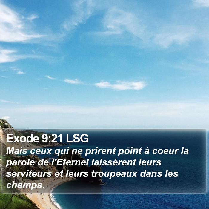 Exode 9:21 LSG Bible Study