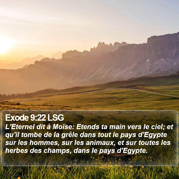 Exode 9:22 LSG Bible Study