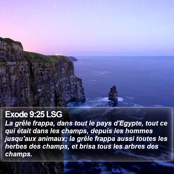 Exode 9:25 LSG Bible Study