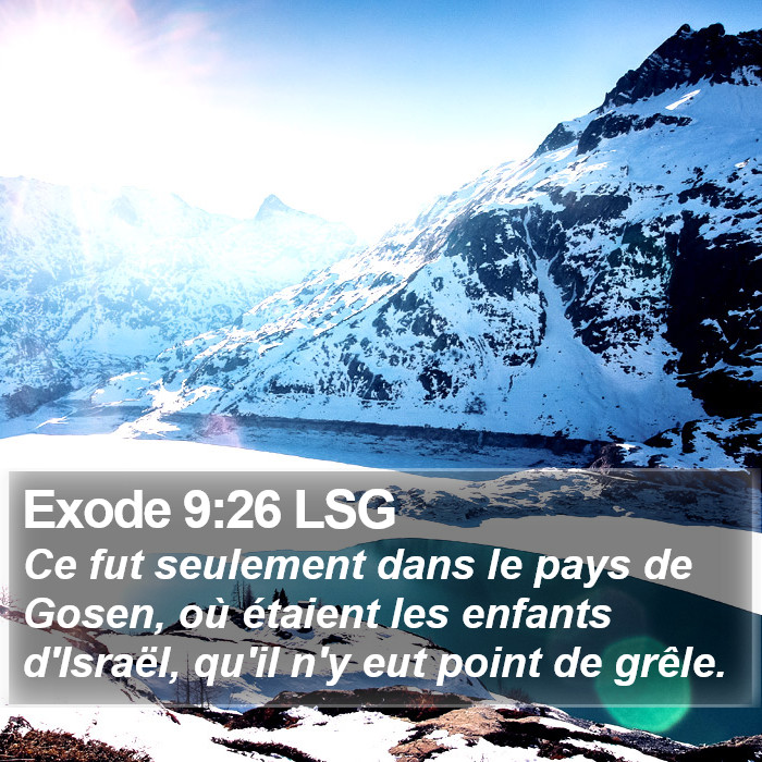 Exode 9:26 LSG Bible Study