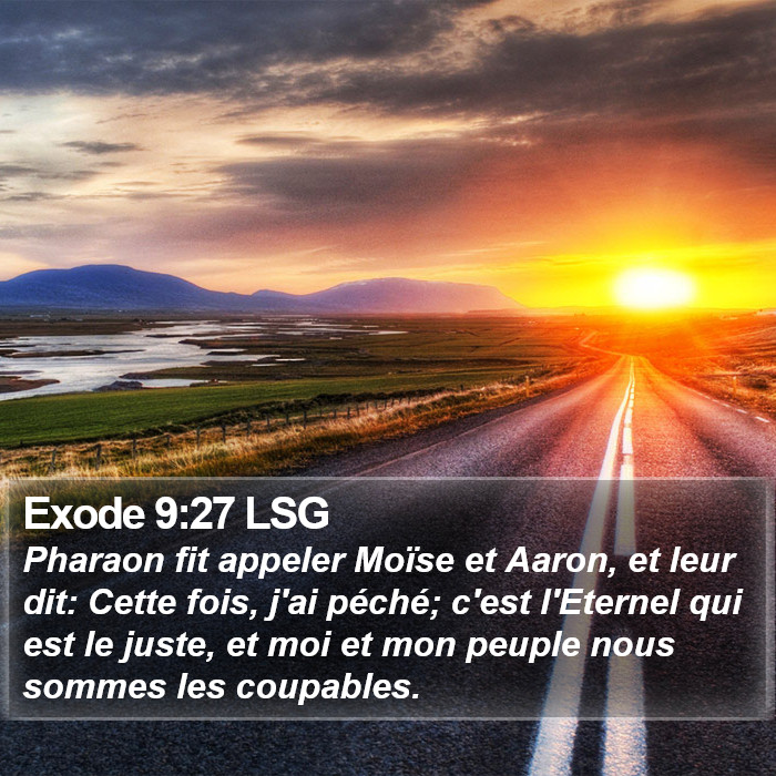 Exode 9:27 LSG Bible Study