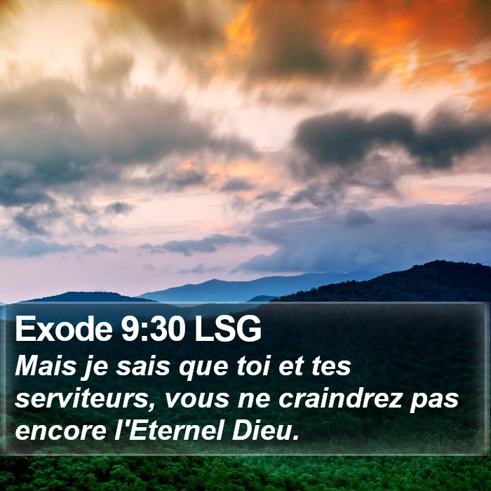 Exode 9:30 LSG Bible Study