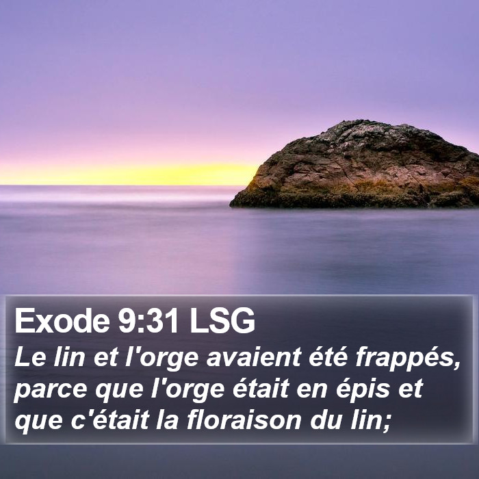 Exode 9:31 LSG Bible Study