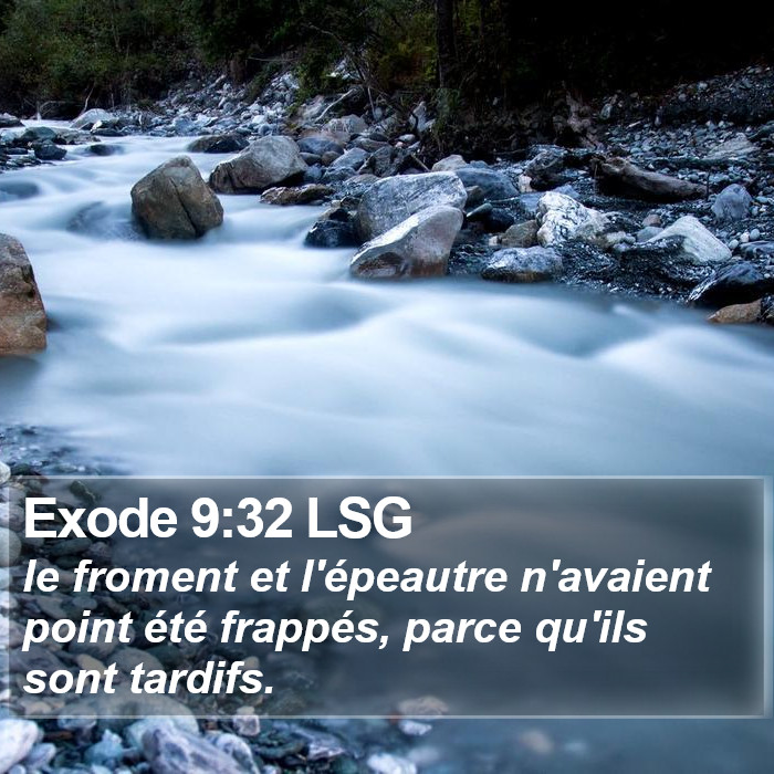 Exode 9:32 LSG Bible Study