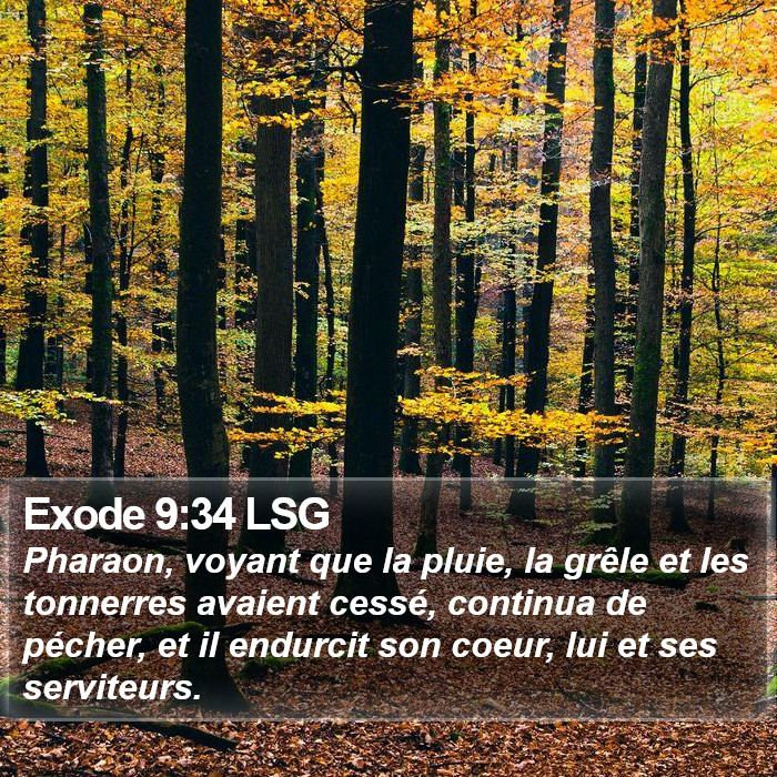 Exode 9:34 LSG Bible Study