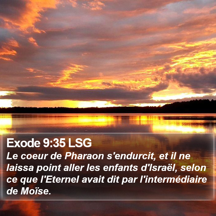 Exode 9:35 LSG Bible Study