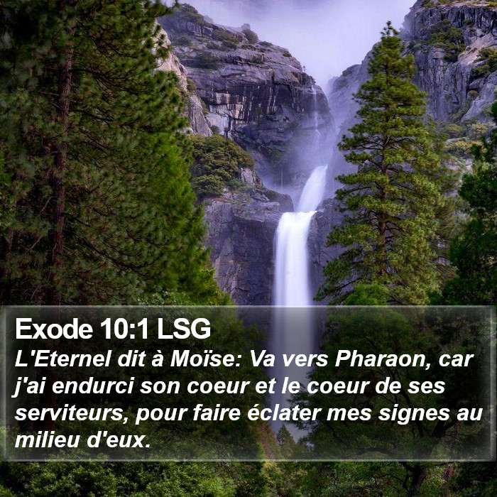 Exode 10:1 LSG Bible Study