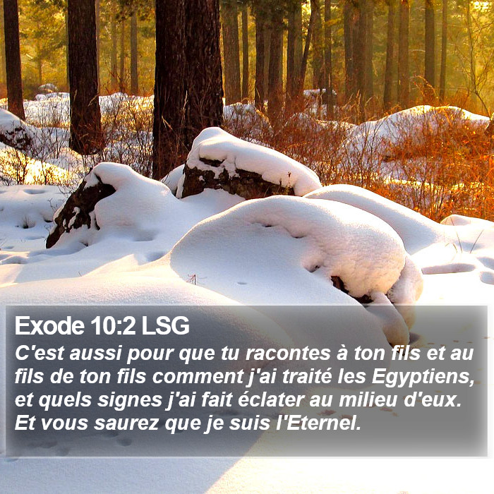 Exode 10:2 LSG Bible Study