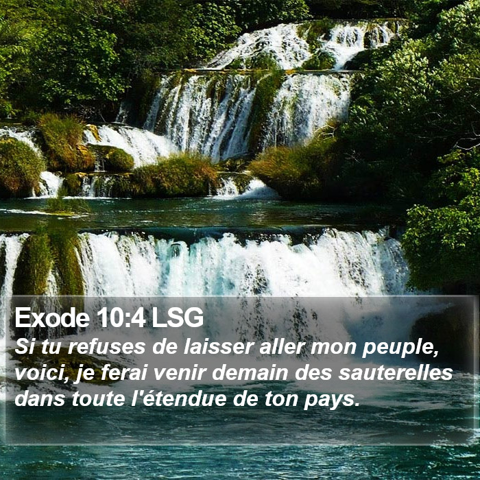 Exode 10:4 LSG Bible Study