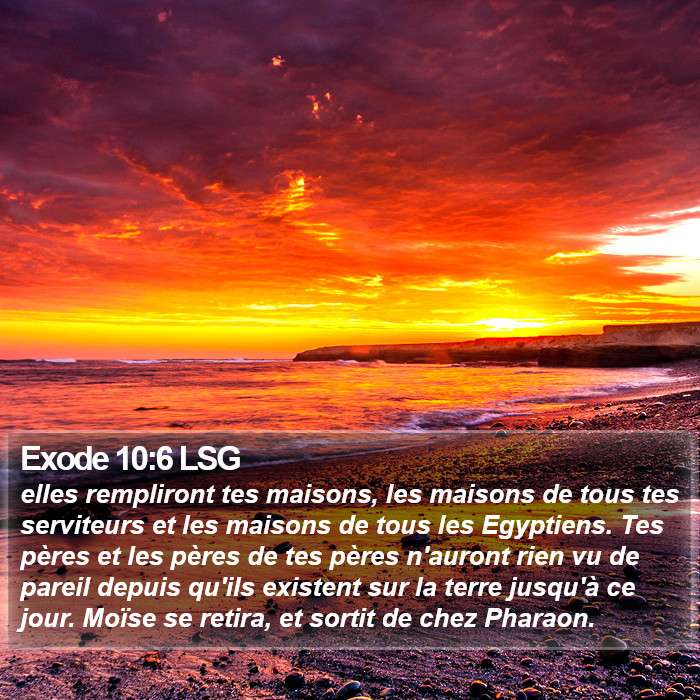 Exode 10:6 LSG Bible Study