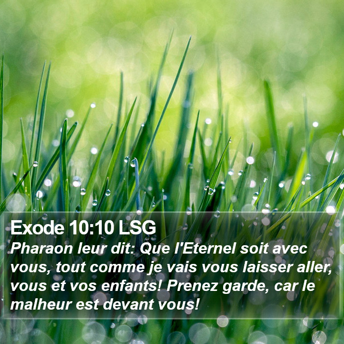 Exode 10:10 LSG Bible Study