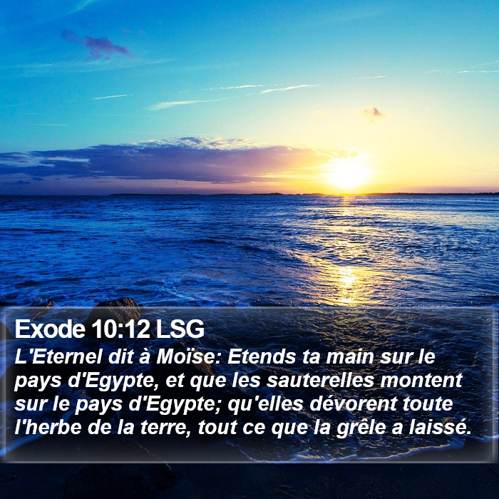 Exode 10:12 LSG Bible Study