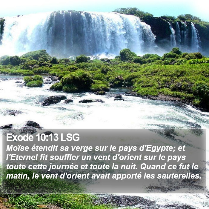 Exode 10:13 LSG Bible Study