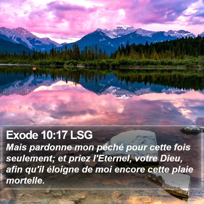 Exode 10:17 LSG Bible Study